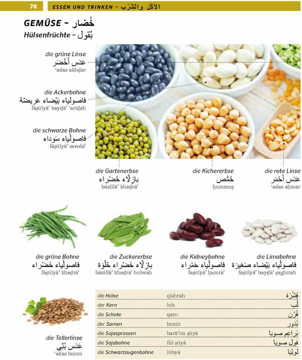 Produktbild PONS Bildwörterbuch Arabisch (Deutsch, Arabisch, 2025)