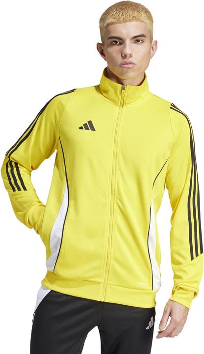 Actual product image adidas TIRO24 TRJKT (XS)
