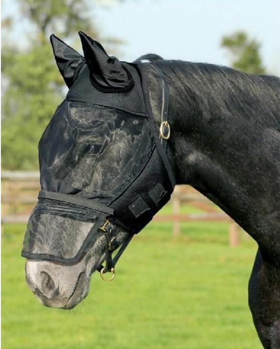 Actual product image Qhp Fly mask with removable nose guard