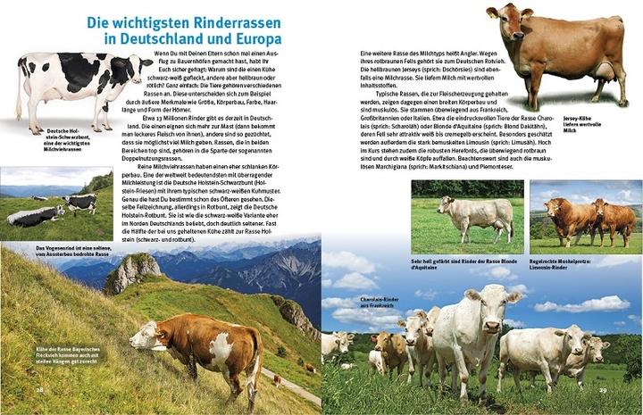 Produktbild Entdecke die Kühe (Deutsch, Fritz Fleege, Jutta Heise, 2018)