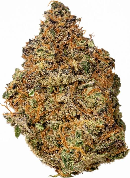 Produktbild Hi Lab Blueberry Muffin (50 g, Indoor)