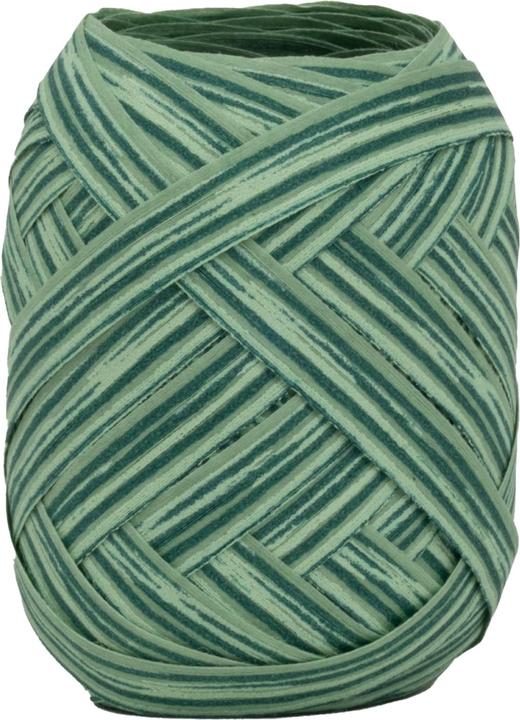 Produktbild Goldina Geschenkband Botanical Boho, 10 Millimeter x 12 Meter, lindgruen (Geschenkband, 1 x)