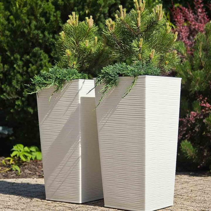 Image du produit Siena Garden Modern (25 cm)