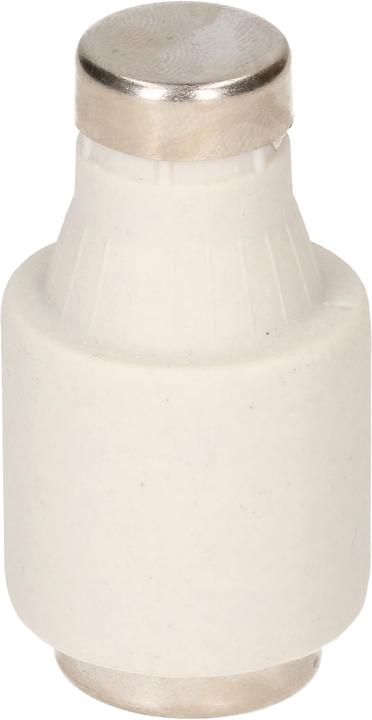 Actual product image Max Hauri Schurter DT, 5 pieces (40 A)