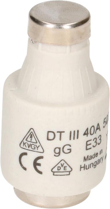 Actual product image Max Hauri Schurter DT, 5 pieces (40 A)