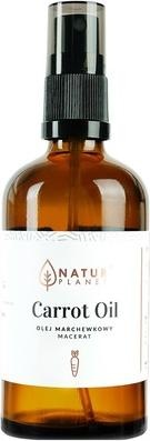 Actual product image NoName NATUR PLANET Olej marchewkowy 100ml (Body lotion, 100 ml)