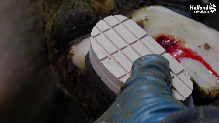 Actual product image Kerbl Easy Hoof Block Holzklotz