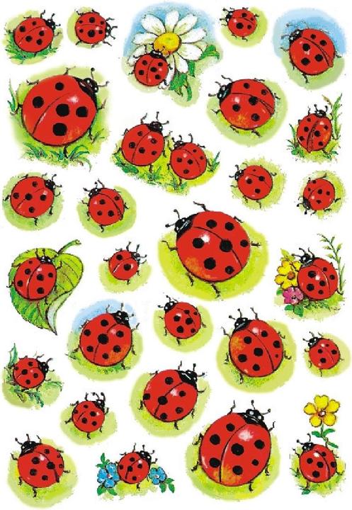 Image du produit HERMA Autocollants Coccinelle