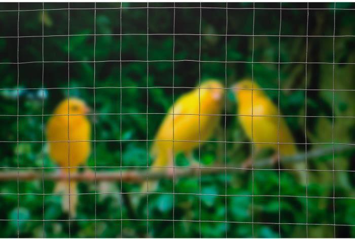Image du produit Nature Zaun