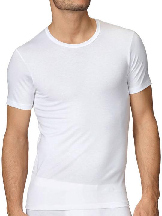 Actual product image Calida Evolution (L)