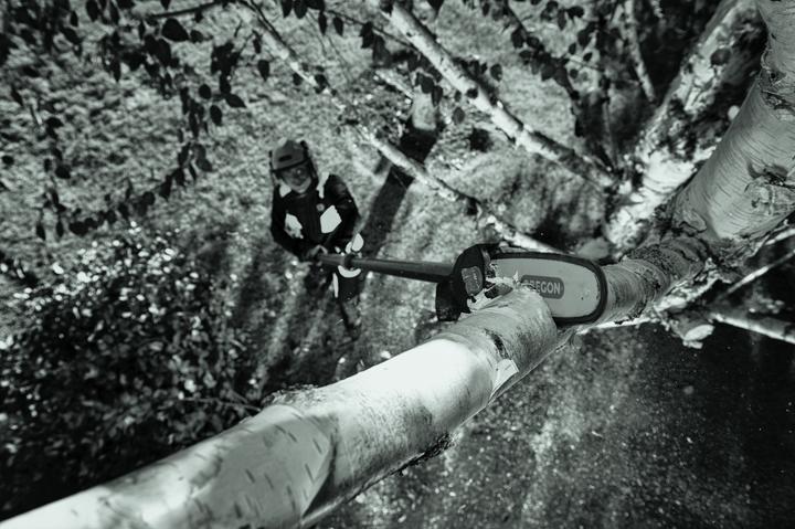 Actual product image Oregon PS250 (Battery chain saw)