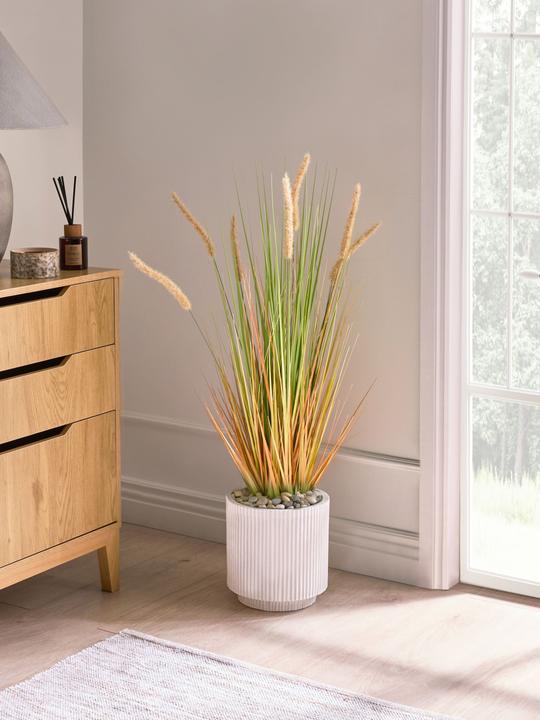 Immagine prodotto Beliani Bristlegrass (90 cm)