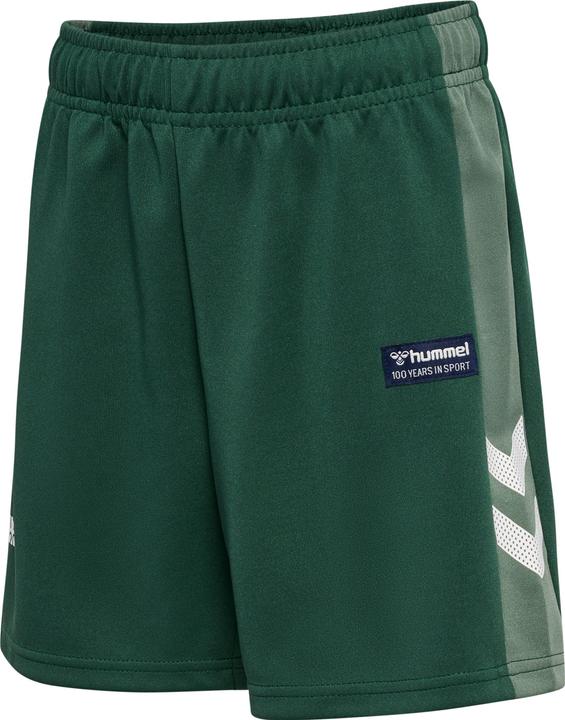 Produktbild hummel hmlRUPHUS SHORTS (110)