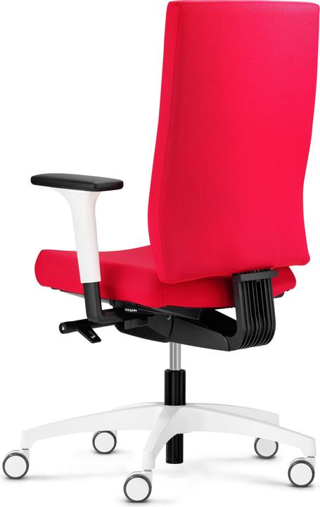 Actual product image Dauphin 4976 SLP1 (40 - 52 cm)