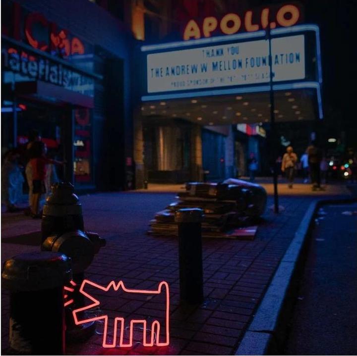 Actual product image YellowPop Keith Haring Barking Dog (5 lm)