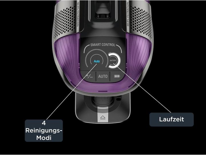 Produktbild Rowenta XForce Flex 12.60