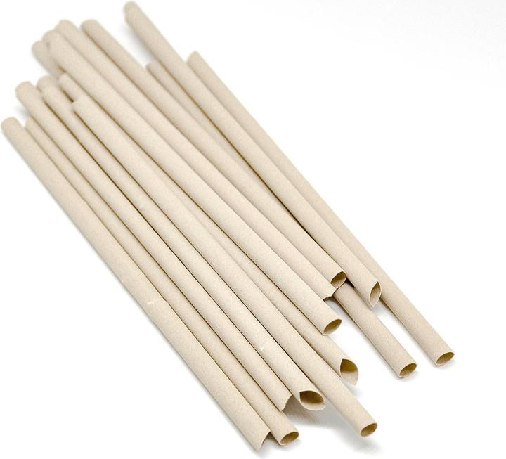 Produktbild Pandoo Einwegstrohhalm (1 x)
