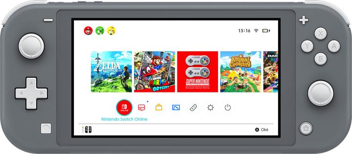 Immagine prodotto Nintendo Switch Lite - Grigio