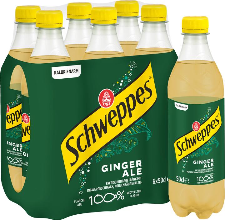 Actual product image Schweppes ginger ale (6 x 50 cl)