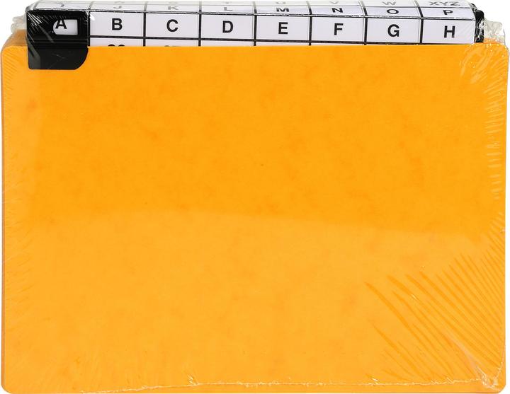 Immagine prodotto Exacompta Divisori Schede guida