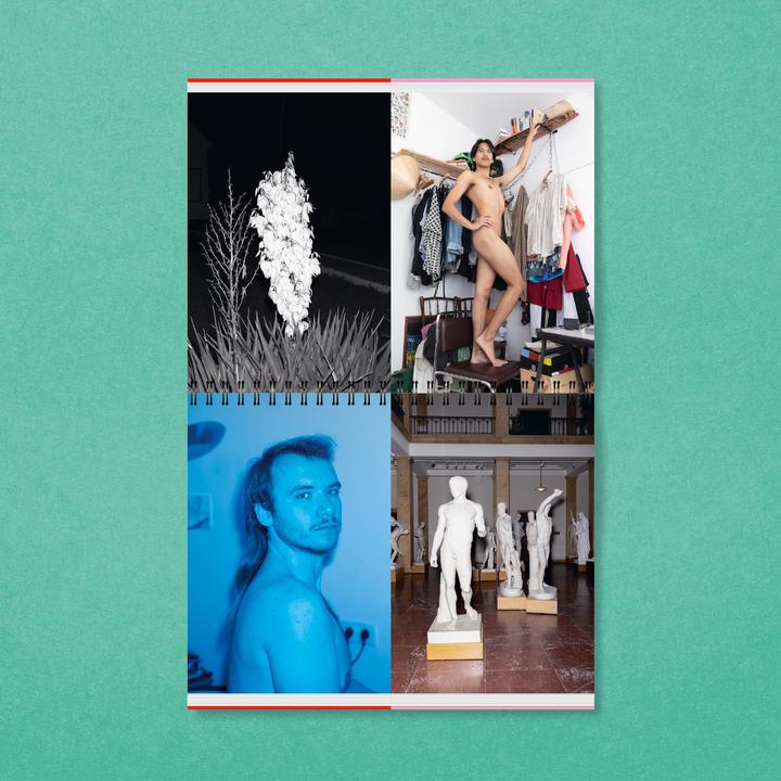 Actual product image the beauty & the boys (German, Martin de Crignis, Sarah Goodrum, Philip Jursch, Maria Knaub, 2024)