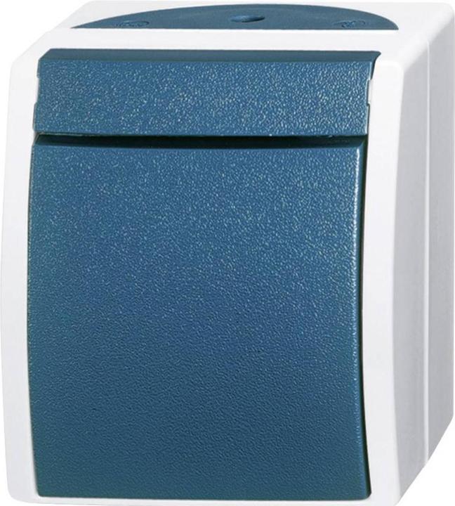 Busch-Jaeger Cross switch