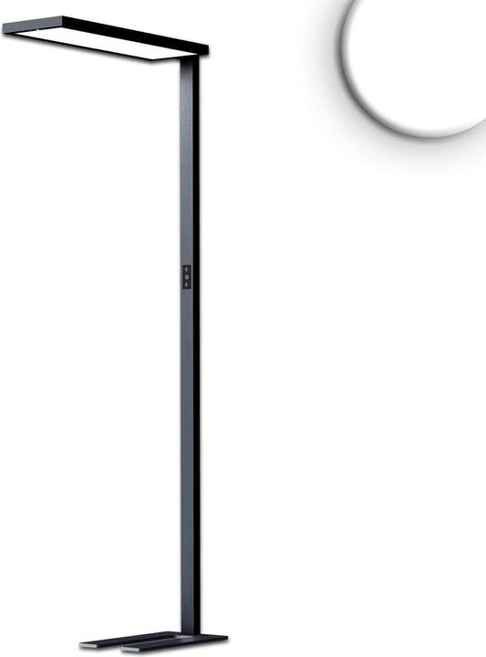 Productafbeelding Isoled LED Office Pro vloerlamp omhoog/omlaag, 80W/20W, zwart, UGR<19, neutraal wit, touchdimming