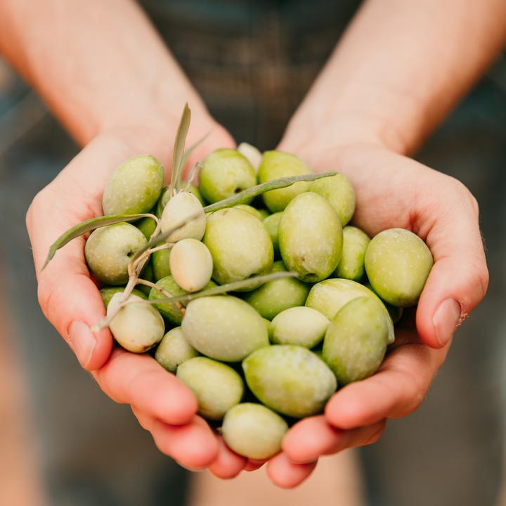 Actual product image Ólixir Organic extra virgin olive oil (50 cl)