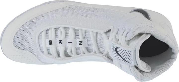 Image du produit Nike Inflict Herrenschuhe (45)