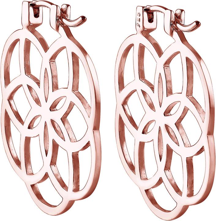 Immagine prodotto Elli Ornamento (Argento 925 Oro rosa)