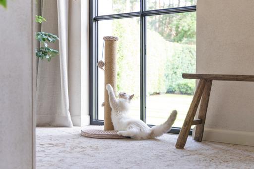 Actual product image Designed by Lotte Scratching post (70 cm)