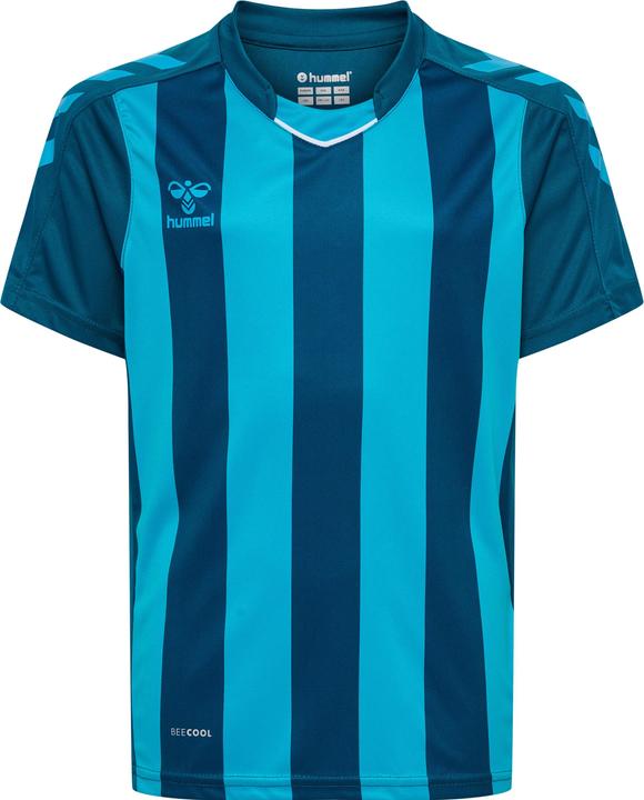 Produktbild hummel Core Xk Striped Jersey Kids S/S (128)