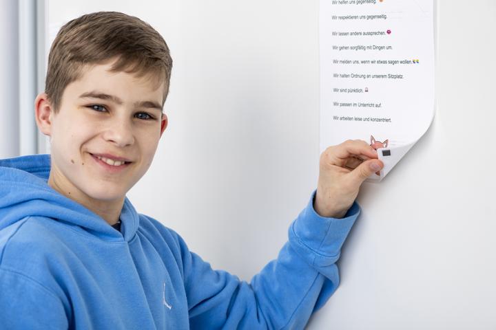 Produktbild Betzold Magnet-Haftis (100 x)