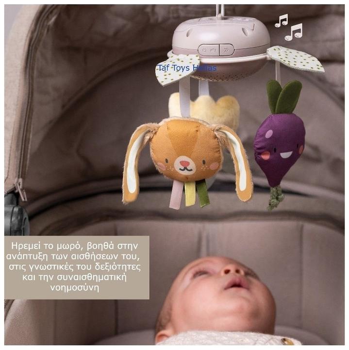 Actual product image Taf Toys TAF Garden - Take Along Mobile (259-13275)
