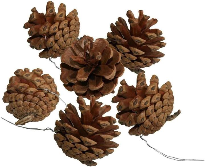 Actual product image Baunsal Christmas tree (75 cm)