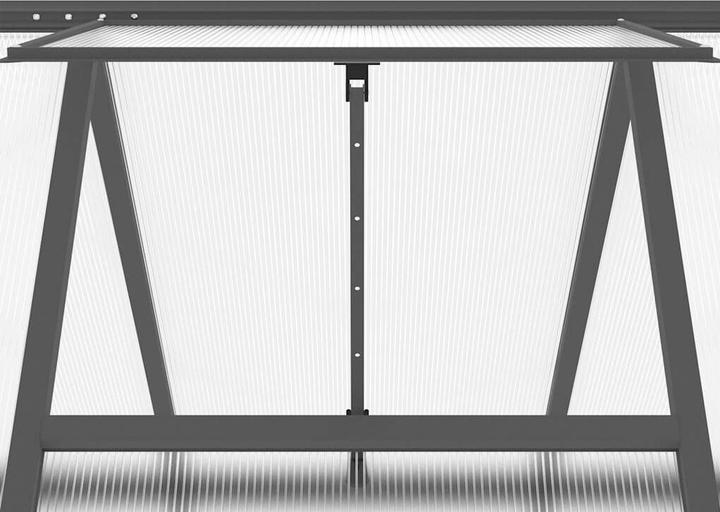Actual product image vidaXL Gewächshaus