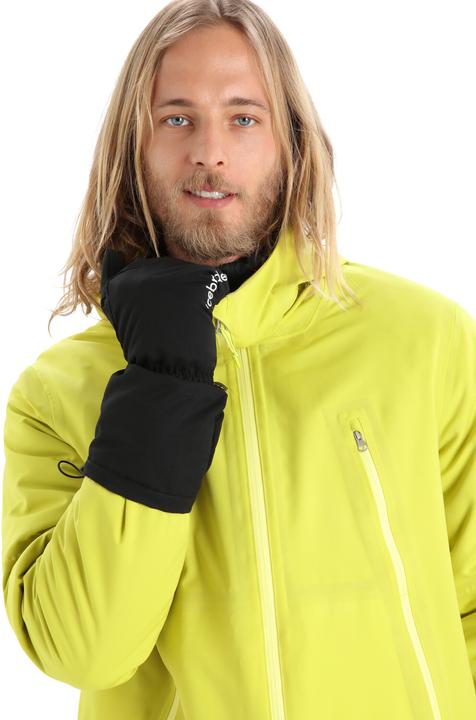 Image du produit Icebreaker MérinoLoft (L)