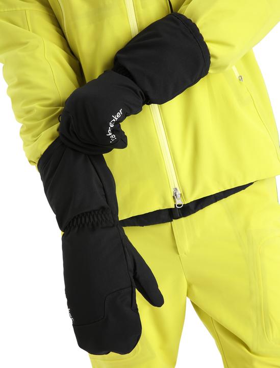 Image du produit Icebreaker MérinoLoft (L)