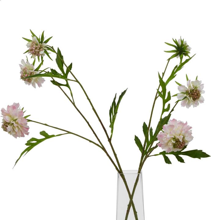 Immagine prodotto Hill Interiors The Natural Garden Collection Gambo di Scabiosa Pianta artificiale (65 cm)