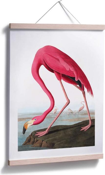 Image du produit Trenddeko Flamant rose (30 x 40 cm)