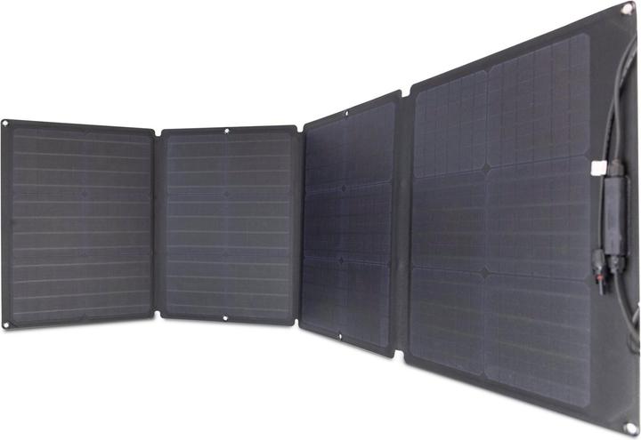 Immagine prodotto EcoFlow Pannello solare (110 W, 4 kg)