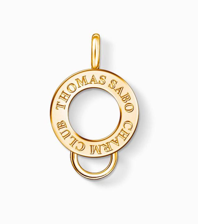 Actual product image Thomas Sabo Carrier 925s (Silver)