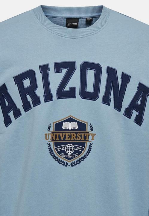 Produktbild Only & Sons Onslawson Life Vintage Crew Neck Sweat (M)