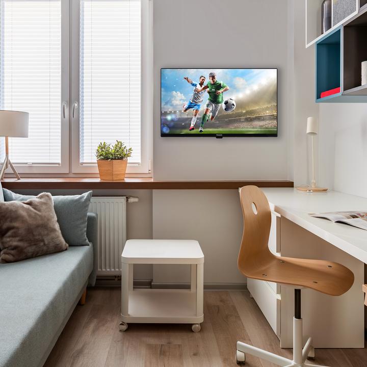 Immagine prodotto Panasonic TS-32N30AEZ (32", LED, HD 768p)