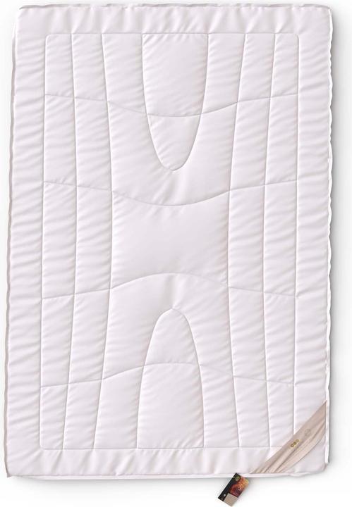 Produktbild Erzstef Dubai Kamelhaar Duvet (1400 g, 160 x 240 cm)