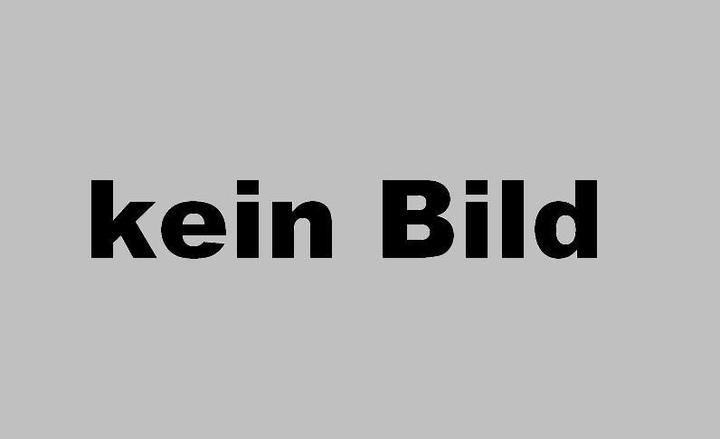Produktbild Hilti Akku B 22/1.6, B22 3.3, B22/2.6