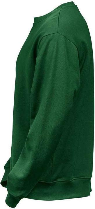 Immagine prodotto Tee Jays Felpa Power in cotone organico (M)