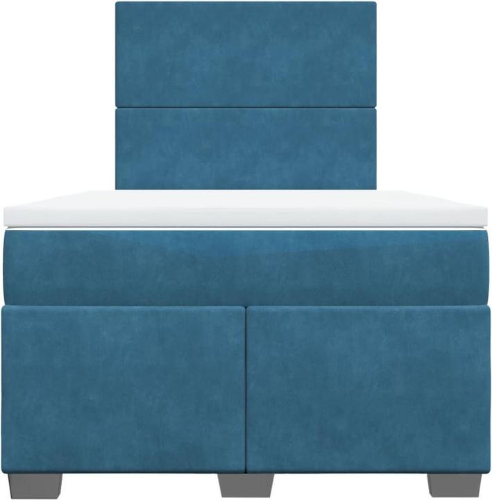 Image du produit vidaXL Boxspringbett (120 x 190 cm)