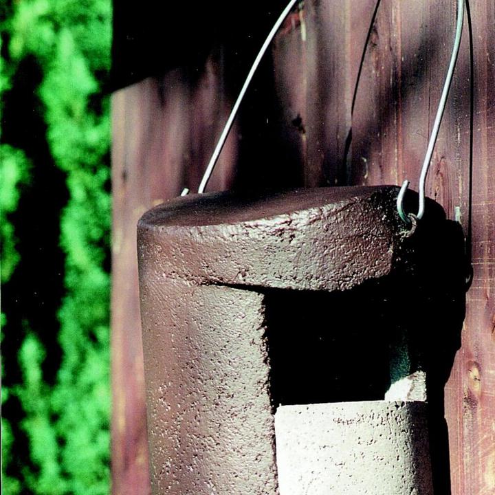 Immagine prodotto Schwegler Foro del nido