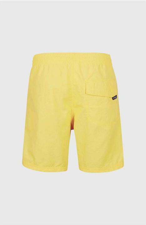 Actual product image O'Neill Vert (S)